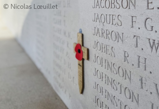 Coquelicot sur le mur de l'Arras Memorial 