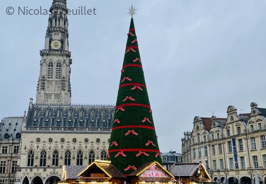 Sapin de Noël au pied du Beffroi d'Arras