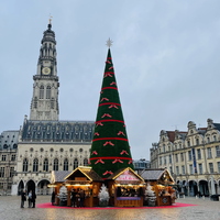 Sapin de Noël au pied du Beffroi d'Arras